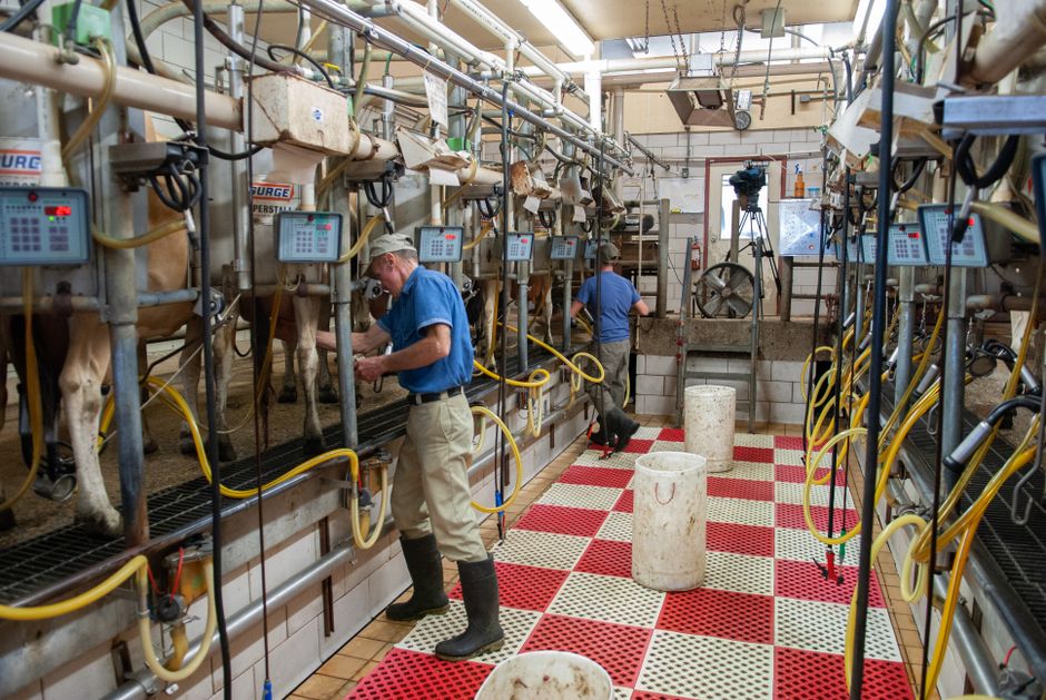 Dairy Industry Wake-Up Call: Inside the €400,000 Fine and What It Means for Food Production Sites