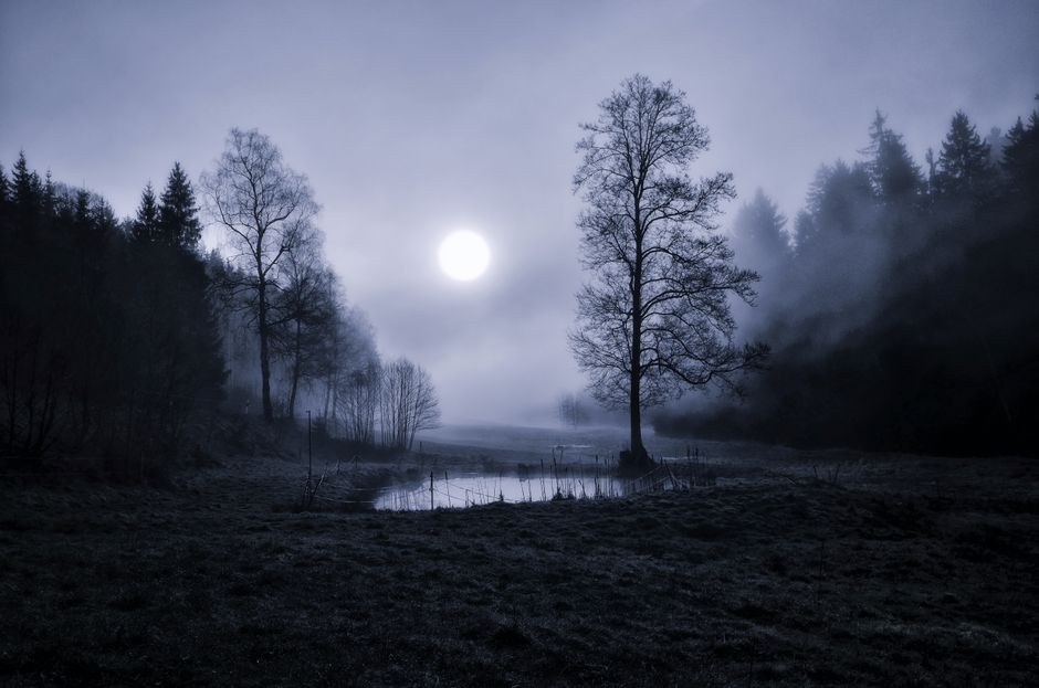 Dark Mornings, Bad Sleep: How to Reset Your Body Clock in an Irish Winter