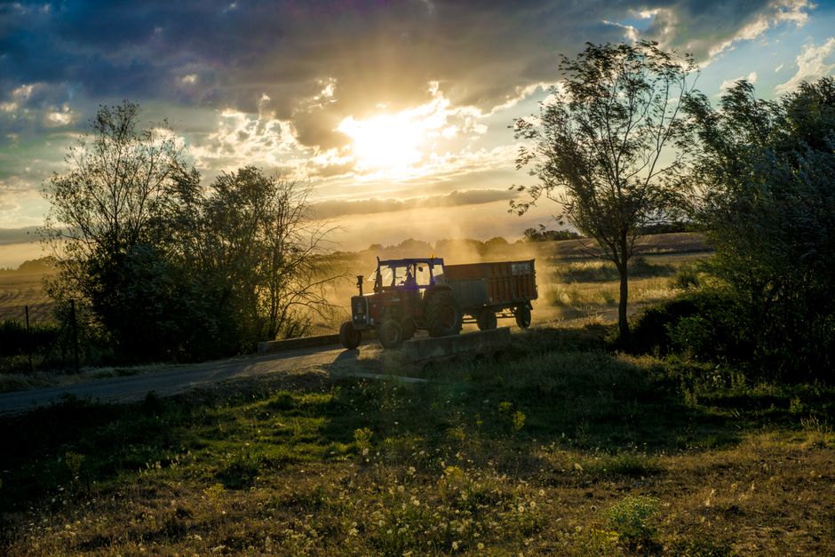 Speeding Through a Farm Gate? Why Agricultural Roadways Are Deadlier Than You Think