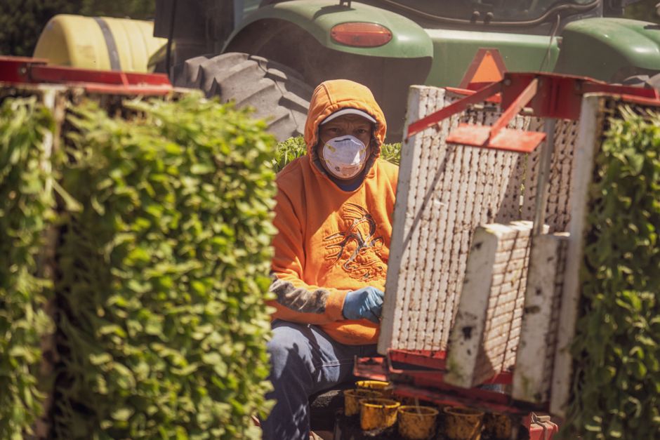 Why Your Farm Safety Plan Needs an Update Right Now